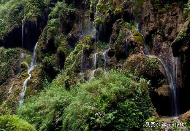 微信如何设置红包封面怎么设置?-聪明机智的问答网页