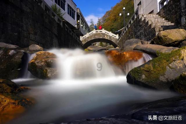 救援卷耳兔